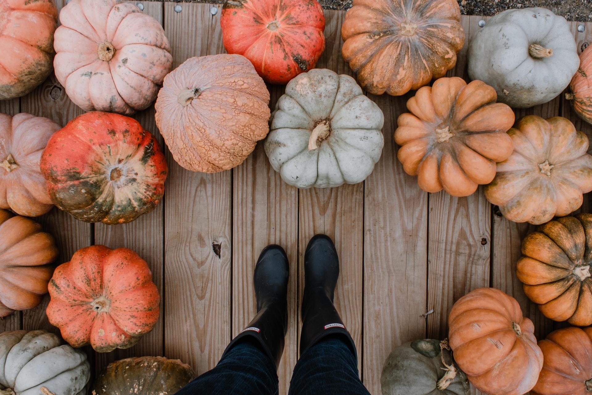 Person surrounded by pumpkins