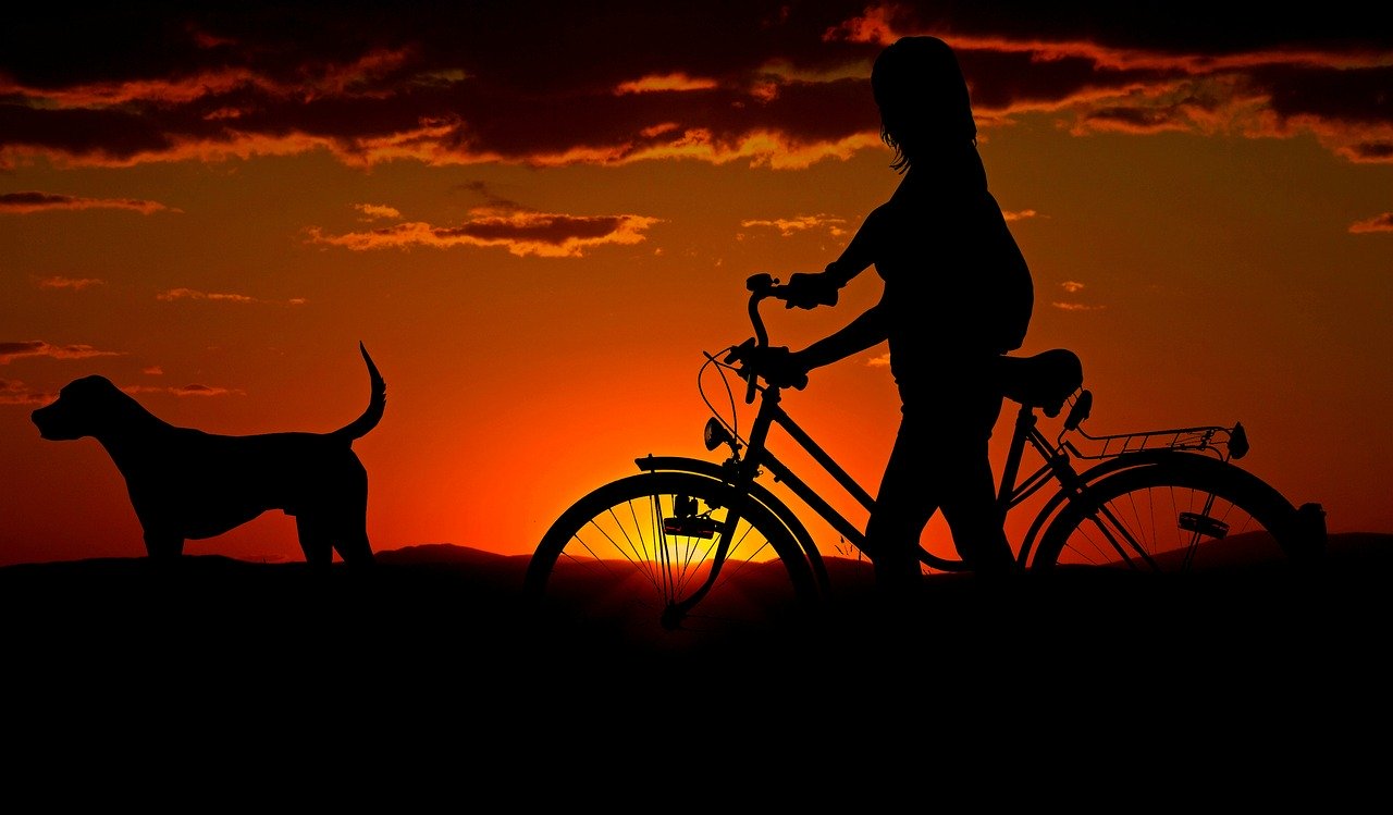 Woman with her dog & bike with setting sun in the background