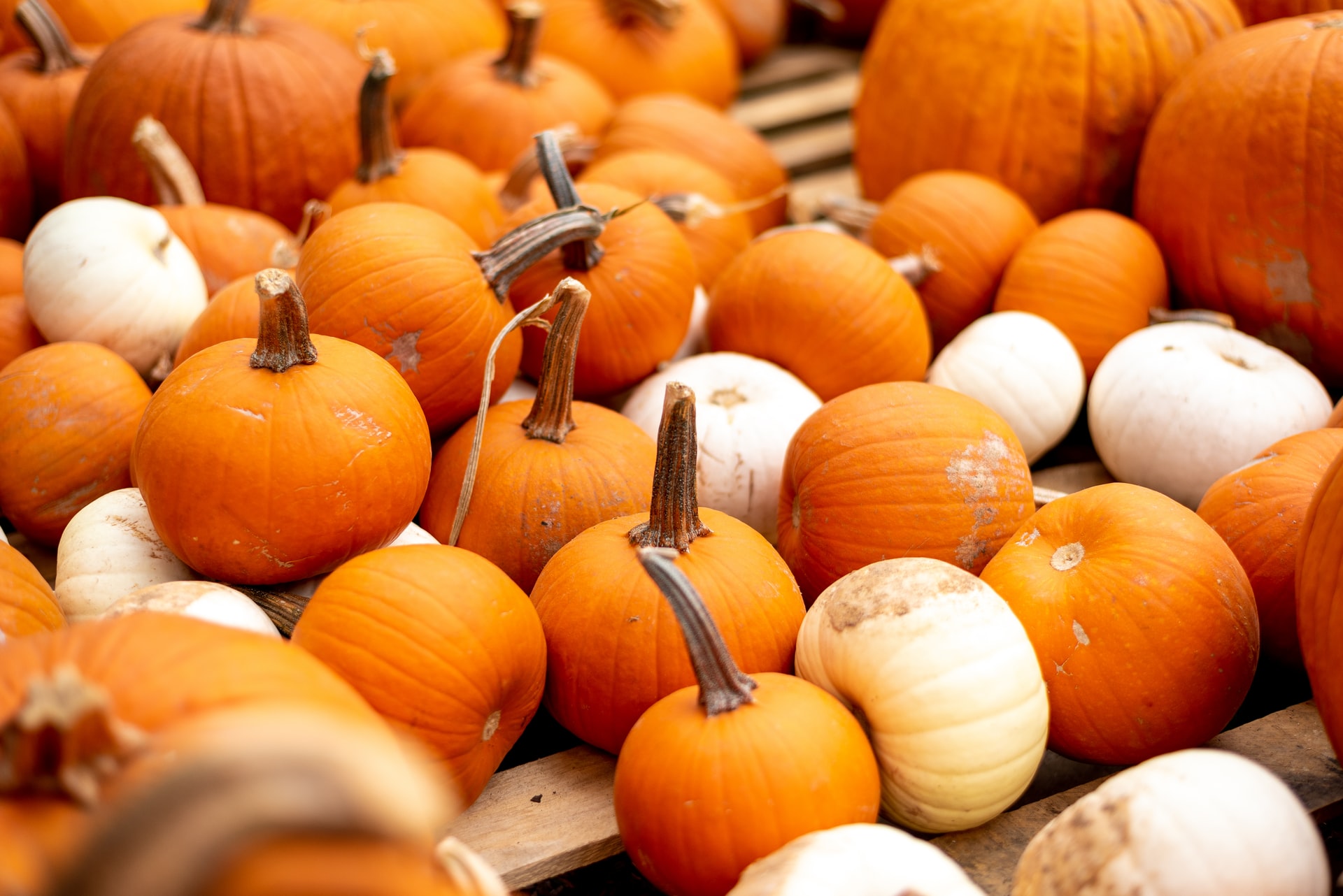 A pile of pumpkins